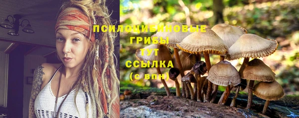 не бодяженный Арсеньев