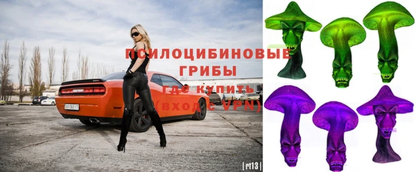 не бодяженный Арсеньев